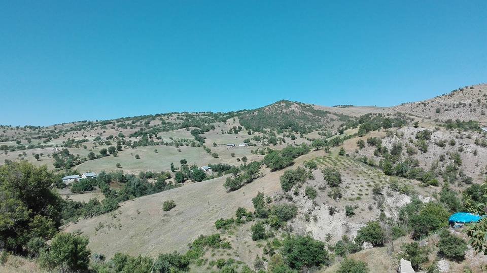 Bu bir Rîçik hikayesi