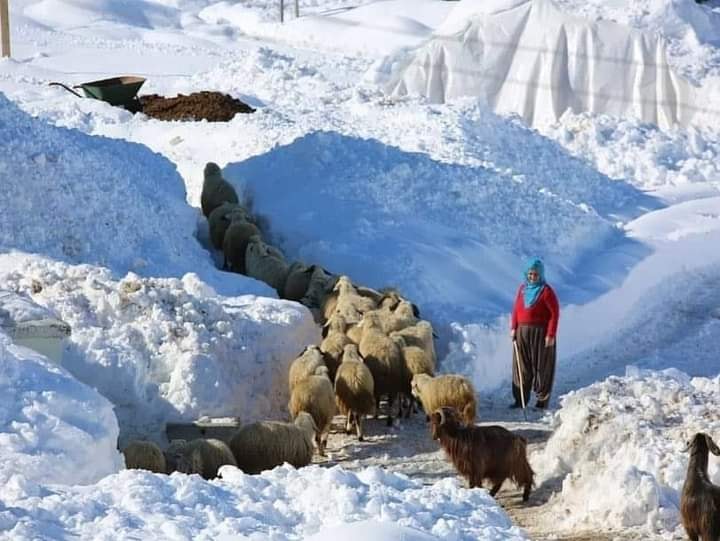 Fereç ile ilgili en doğru bilgiler ve hava durumu Tahminleri